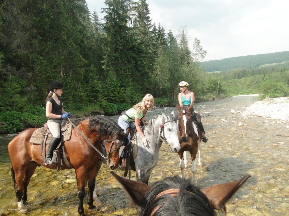 Maly Domek Pod Lasem Zakopane Dış mekan fotoğraf