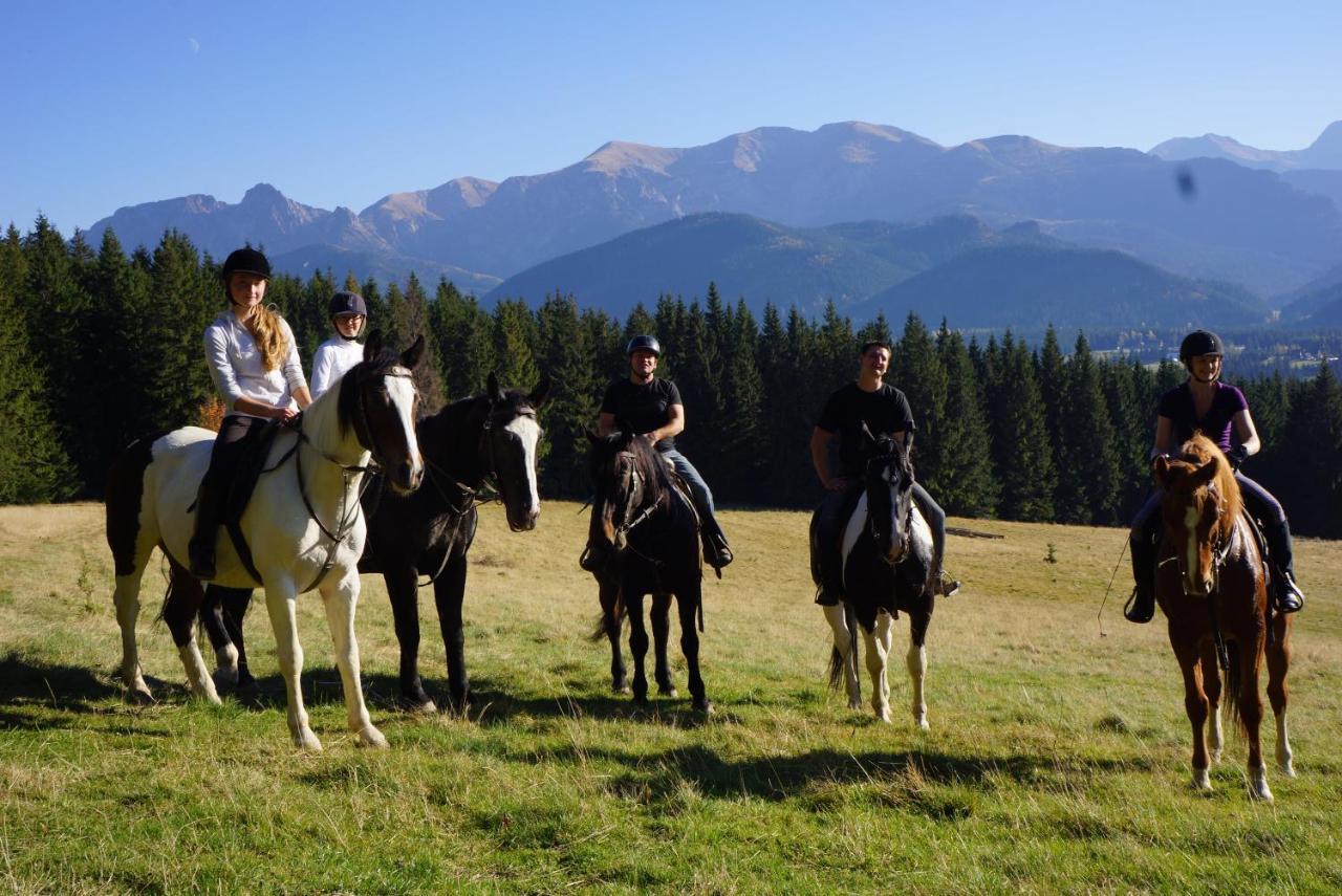 Maly Domek Pod Lasem Zakopane Dış mekan fotoğraf